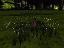 Relaxing in new flowers, Devis Garden (6)