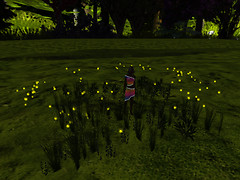 Relaxing in new flowers, Devis Garden (6)