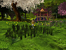 Relaxing in new flowers, Devis Garden (5)