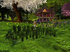 Relaxing in new flowers, Devis Garden (5)