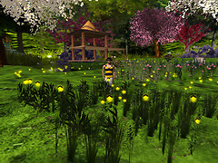 Relaxing in new flowers, Devis Garden (4)