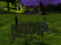 Relaxing in new flowers, Devis Garden (2)