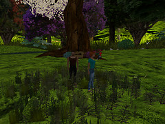 Relaxing in new flowers, Devis Garden (1)