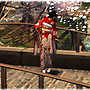 Bridge and Kimono