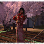 CherryBlossom