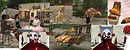 French Sim