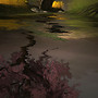 Reflection in Spring