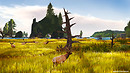 elk