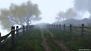 foggy