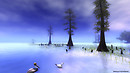 Snapshot_008