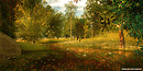 Meadow