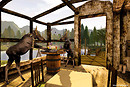 Snapshot_005