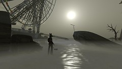 Fog
