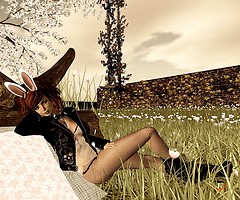 Bunny In A Bunny Suit 4b