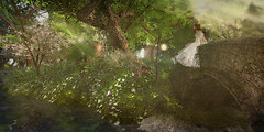 Serenity