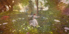 Morning Dance