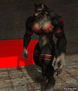 Shadow of the Wolf