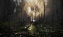Out Of The Dark Legacy