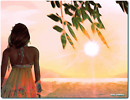 Last Summer's Sun