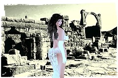 Aya16