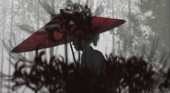 破扇堂02