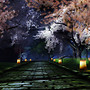 CHERRY LANE