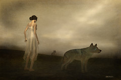 Only the Love of Wolves