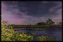 The Lake Isle Of Innisfree by William Butler Yeats