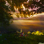 Picnic