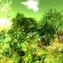 The season of green leaves 