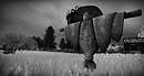 Scarecrow