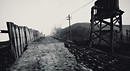ROAD