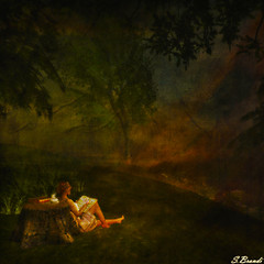 The novel