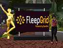 Chimera on Fleepgrid