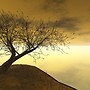 Dream a little dream....