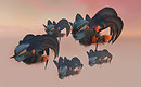 Birds avatar