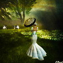 Elegance at the farm
