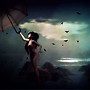 Fly Me Away