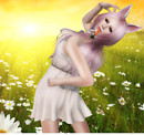 WLRP Review-Mabinogion & C’est la vie