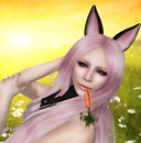 WLRP Review-Mabinogion& C’est la vie3