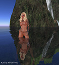 Reflection