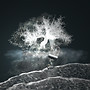 Profundity