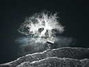 Profundity