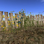 Over The Fence