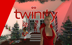Christmas in 3D Twinity