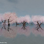 Beautiful World