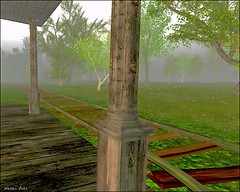 Foggy Morn