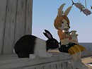 minaHeavens island - doubleplus.xue