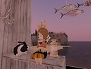 minaHeavens island - doubleplus.xue