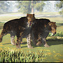Pleistocene Hunters